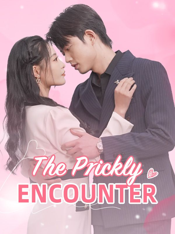 短剧《The Prickly Encounter$Sue$Charlton$$Lincoln$Chadwick》