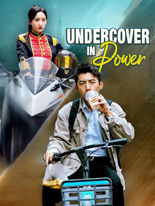 Undercover in Power$Marth$Knight$$Brunhilde$Reiner  第1张