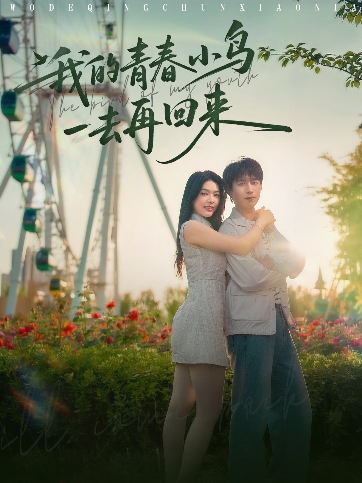 短剧《我的青春小鸟一去再回来$严浩/刘彦君/瑞子/王希如》