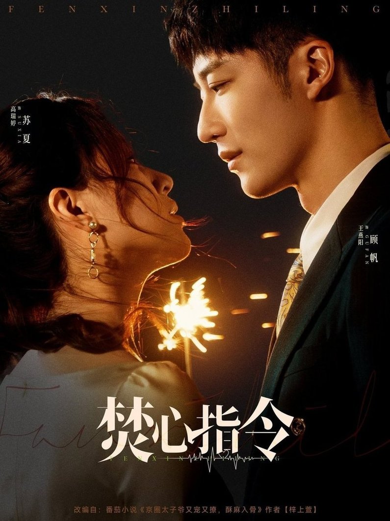 短剧《焚心指令$王燕阳/高瑞婷》