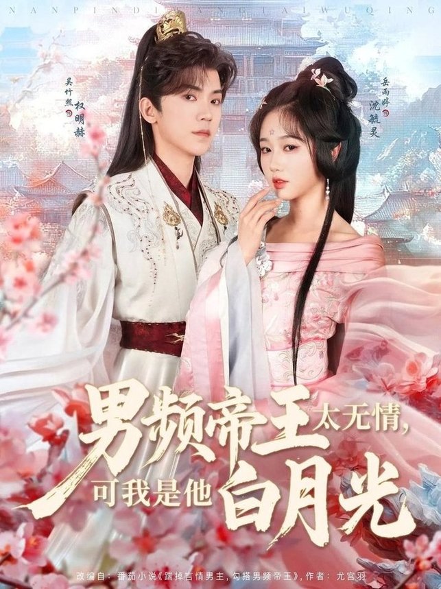 男频帝王太无情可我是他白月光$岳雨婷/吴竹熙  第1张