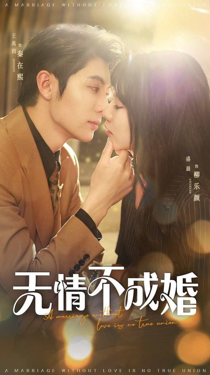 短剧《无情不成婚$王子林/盛晨》