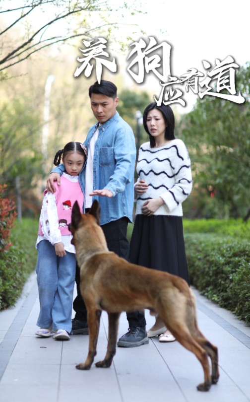 养狗应有道  第1张