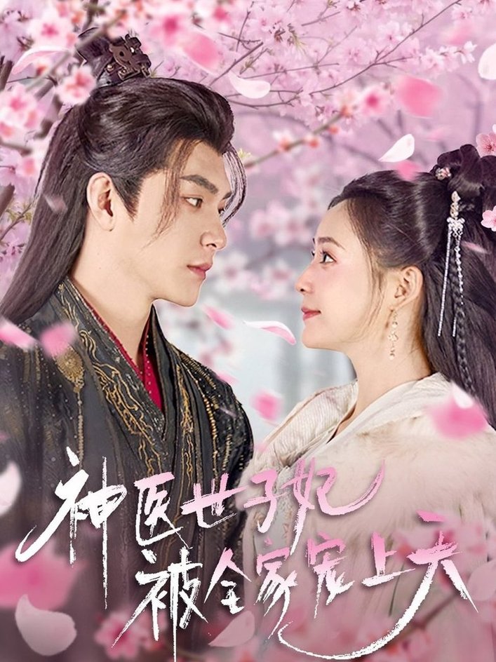 短剧《神医世子妃被全家宠上天$王昱凯＆许丹》