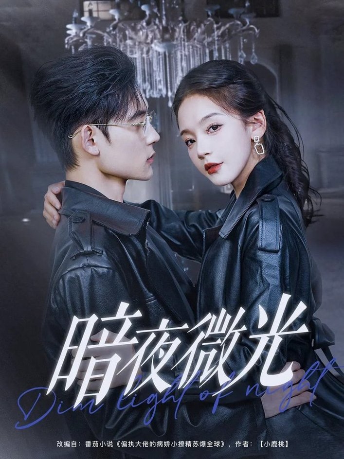 短剧《暗夜微光$张力壬/徐波滴》