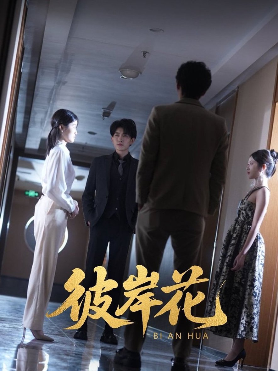 短剧《彼岸花$薛晗/羊洋》