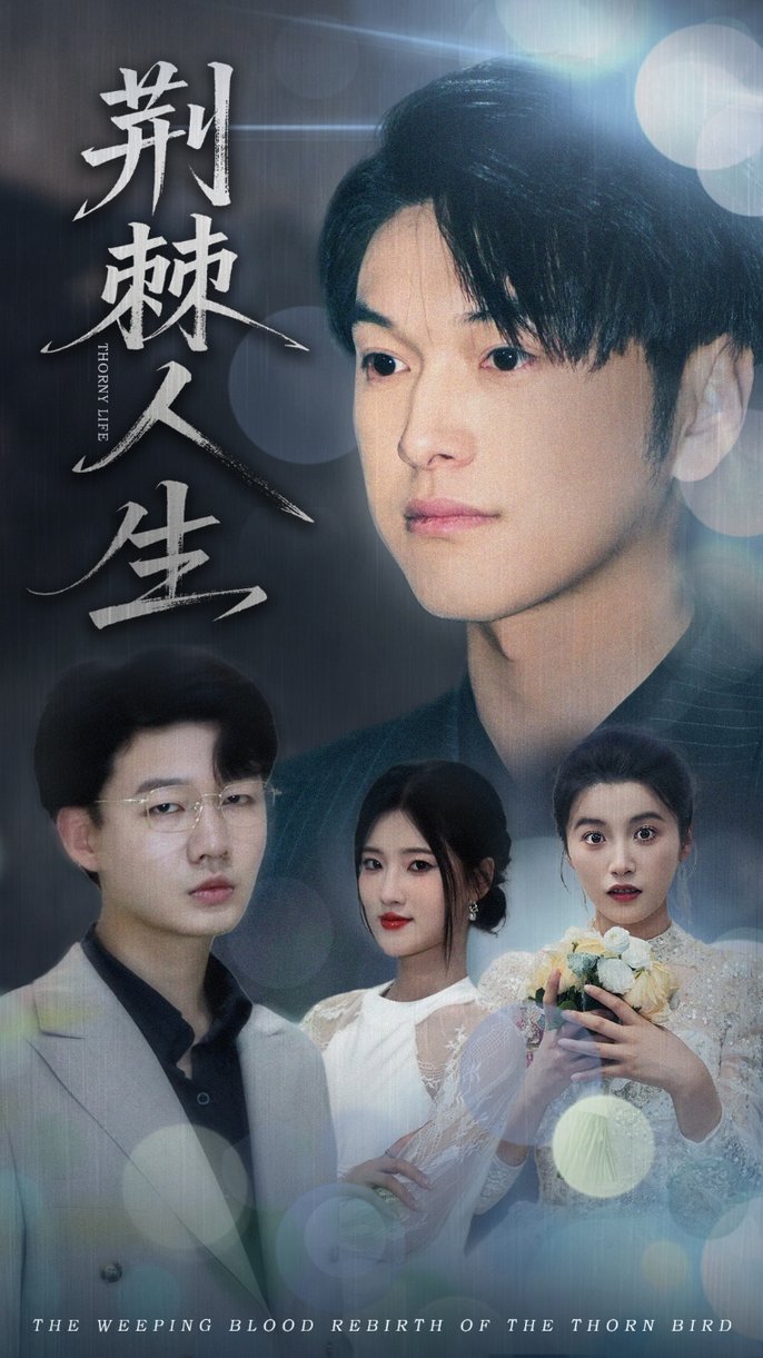 短剧《荆棘人生$陈馨雨/胥宁轲》