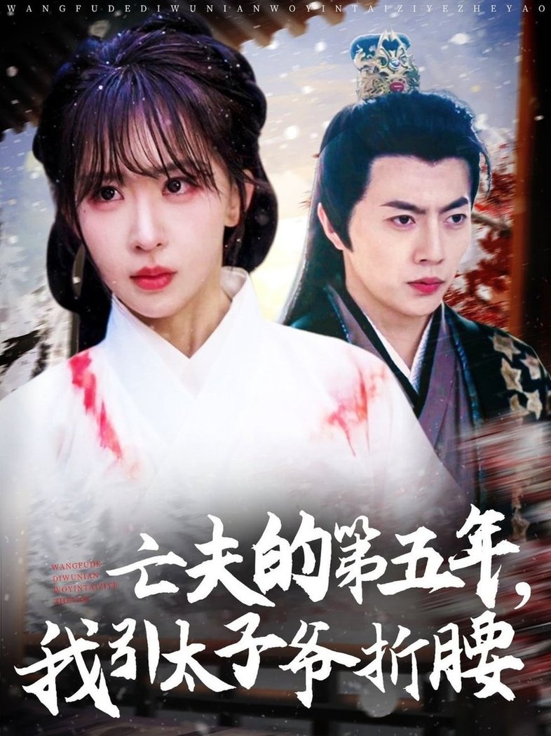 短剧《亡夫的第五年我引太子爷折腰$房蕾/张磊》