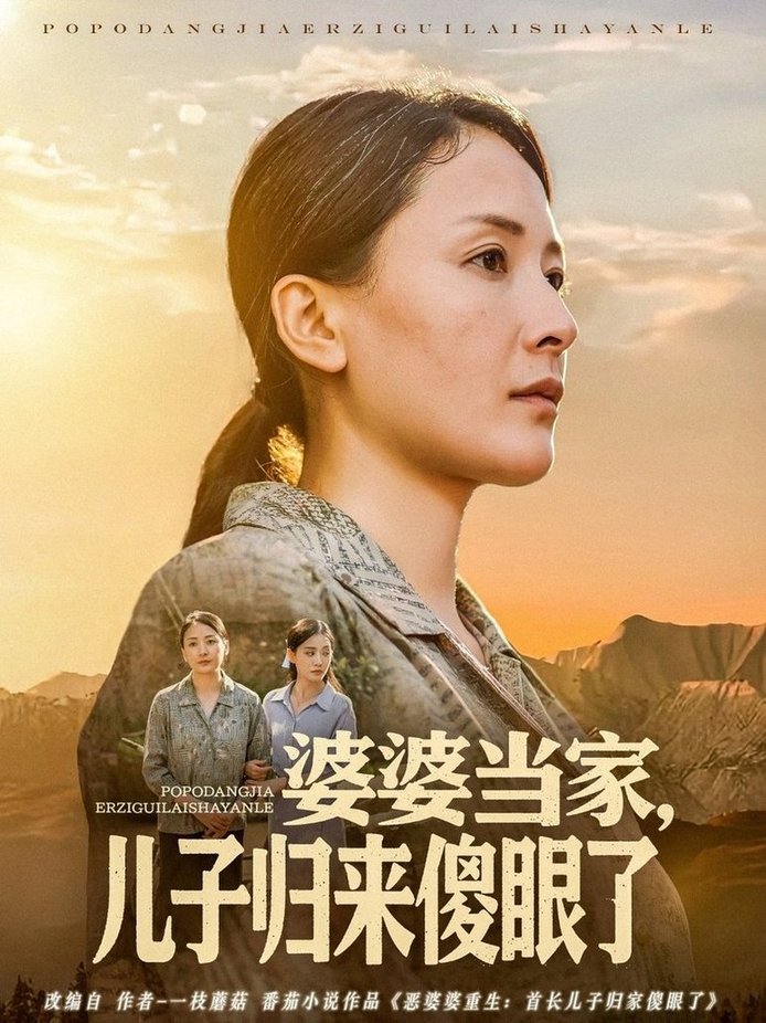 短剧《婆婆当家儿子归来傻眼了$王亚杰/张雨霏》
