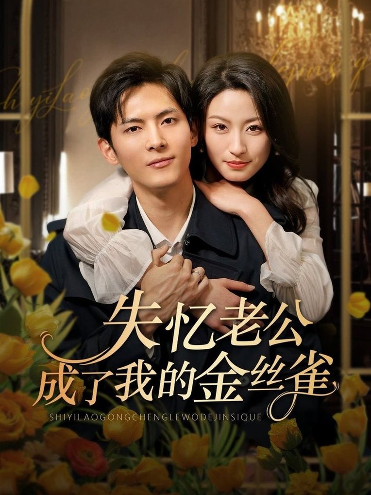 短剧《失忆老公成了我的金丝雀$千喆/王艺阳》