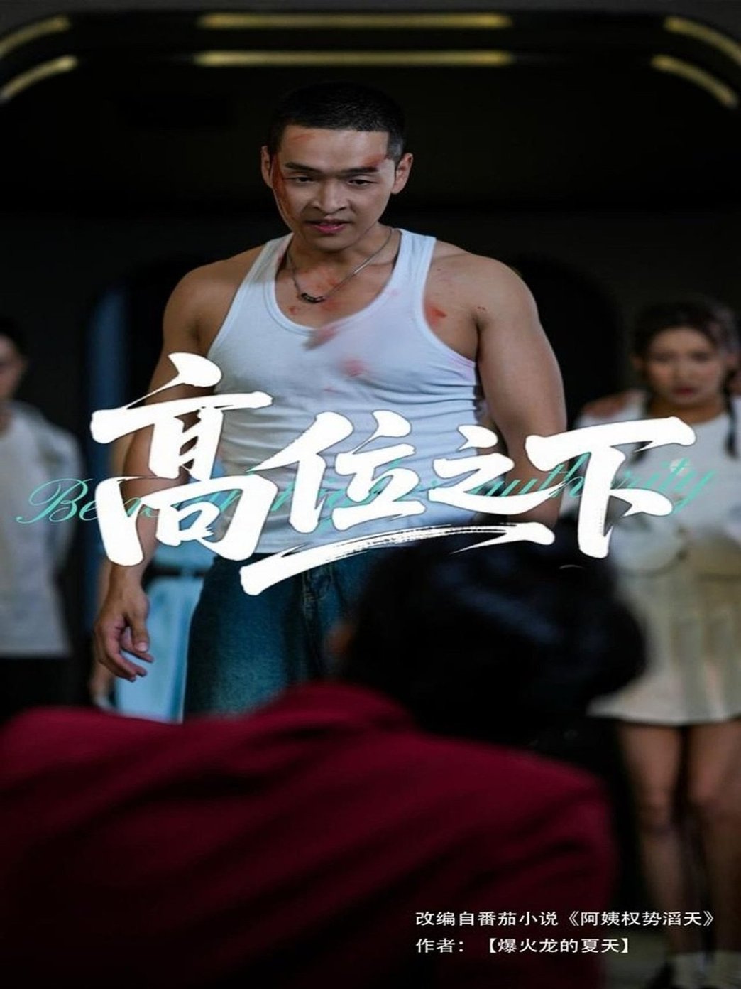 短剧《高位之下$张家嘉/赵龙》
