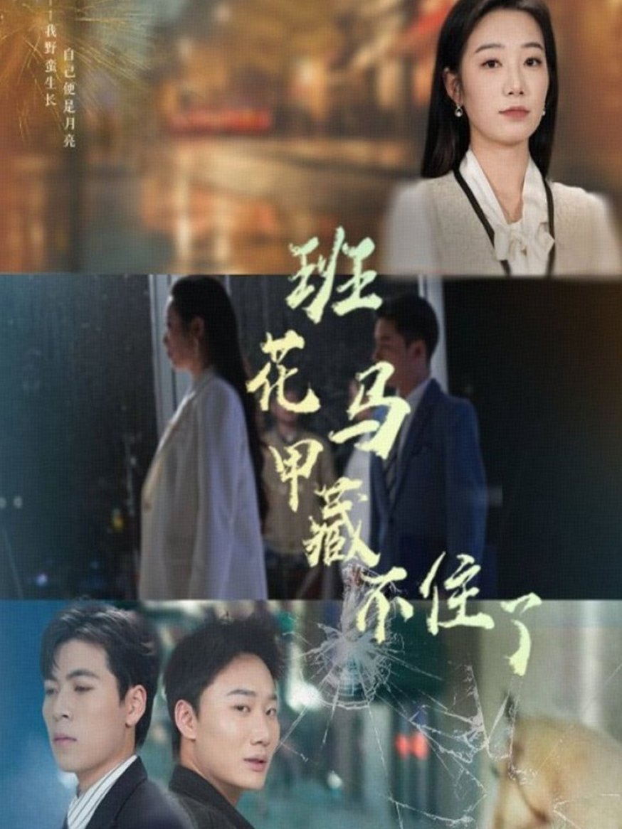 短剧《班花马甲藏不住了$雷子/赵晴》