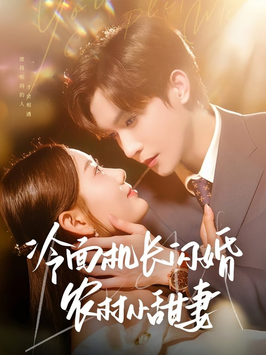 短剧《冷面机长闪婚农村小甜妻$林世杰＆赵佳欣》