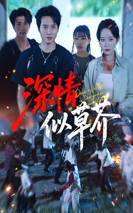 深情似草芥$源鑫/王瀚迎短剧