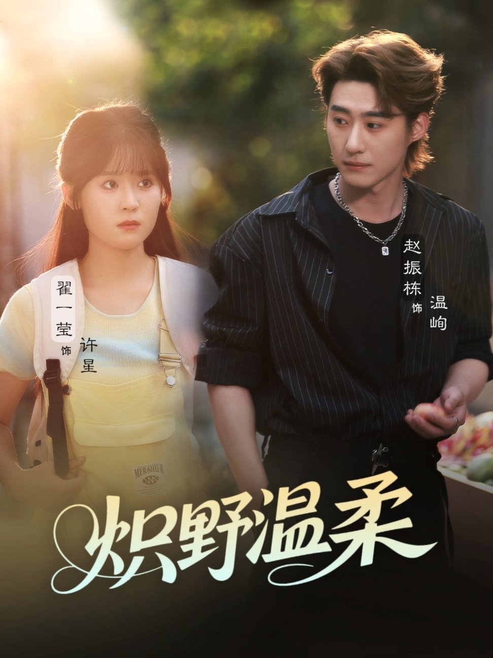 炽野温柔$翟一莹/赵振栋/刘雨杉（与三）短剧