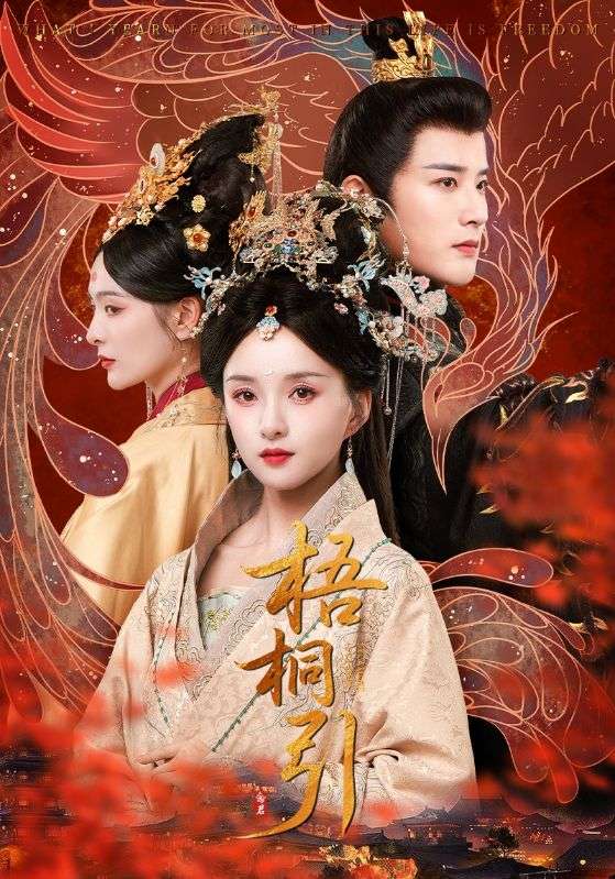 短剧《梧桐引$索菲》