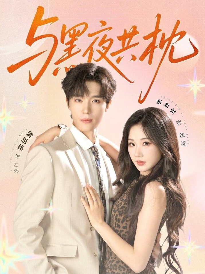 与黑夜共枕  未删减版$梁思伟/张晋宜 第1张