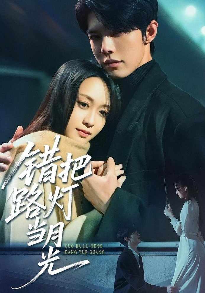 错把路灯当月光  第1张