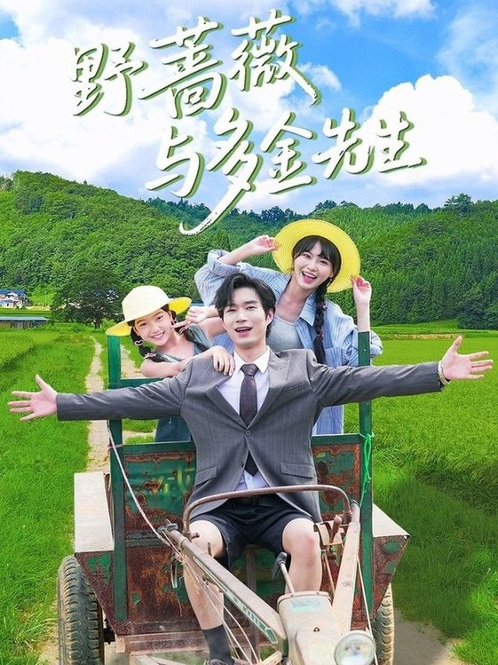 野蔷薇与多金先生$余佳学＆胡雪艺  第1张