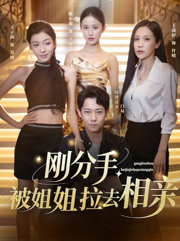 短剧《刚分手，被姐姐拉去相亲/刚分手被姐姐拉去相亲$王子茜/陈小瑜/王满婷》