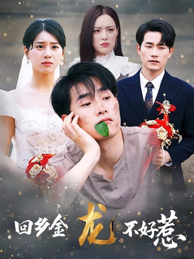 短剧《回乡金龙不好惹$薛海威/徐海文》