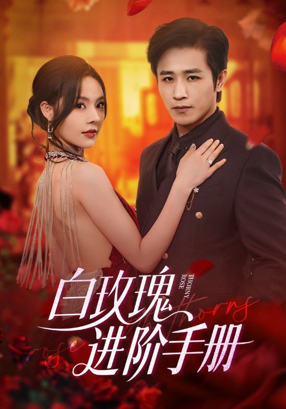 白玫瑰进阶手册$古铭瀚＆赵西  第1张