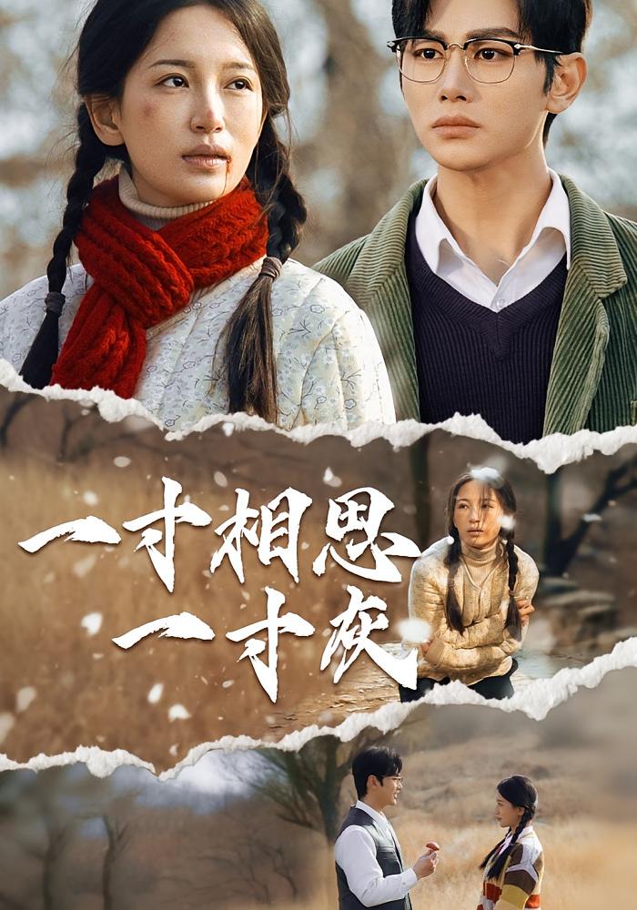 短剧《一寸相思一寸灰》
