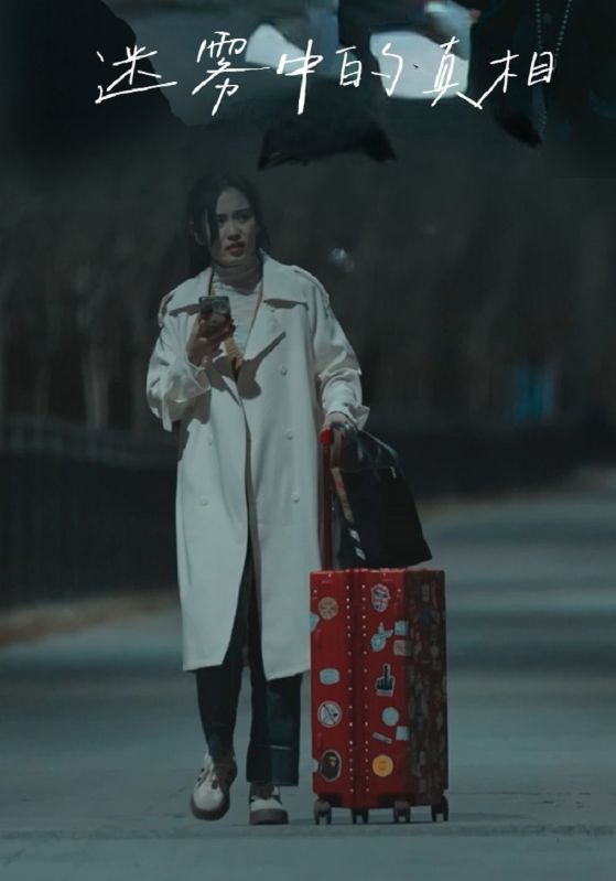 短剧《迷雾中的真相$李浩$李文》