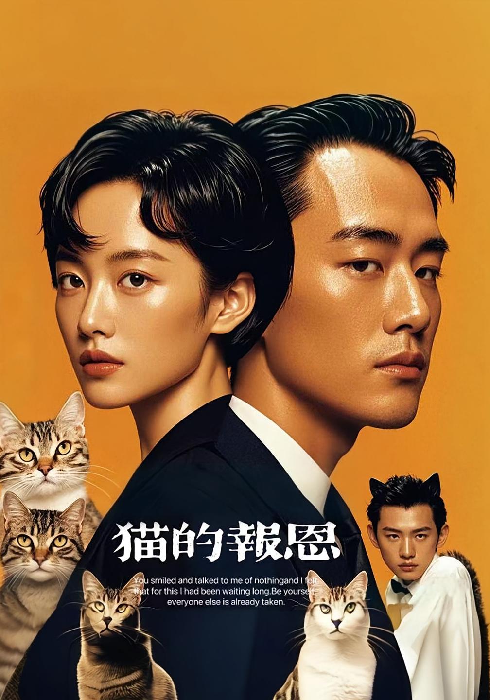 短剧《猫的报恩》
