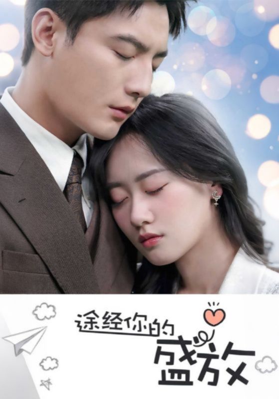 途经你的盛放$慕廷彦$楚安安短剧