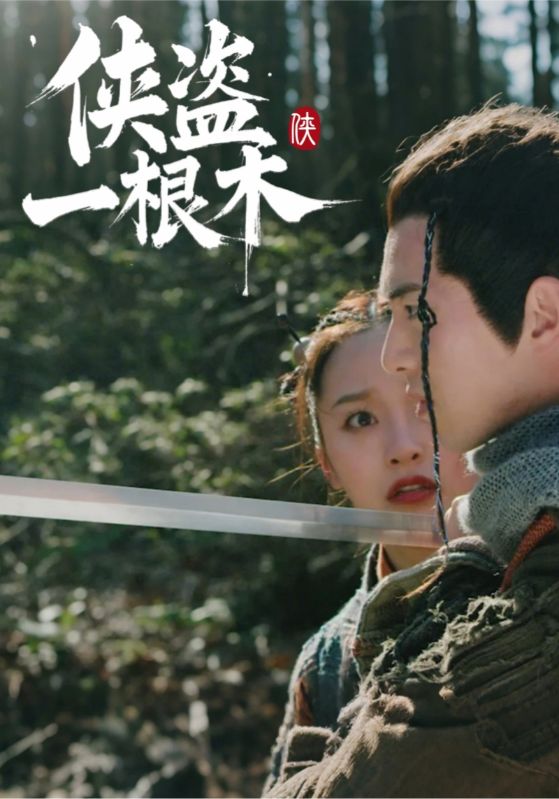 短剧《侠盗一根木$李凡$王小二》