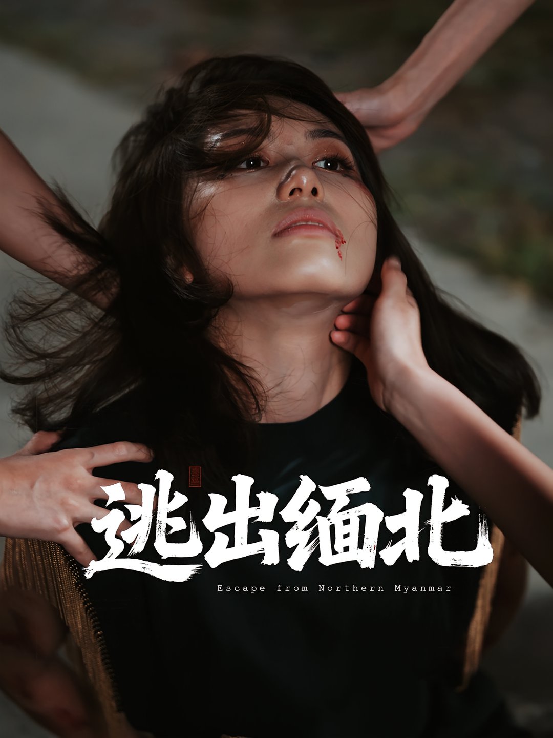 短剧《逃出缅北$刘振安/汪芷萱》