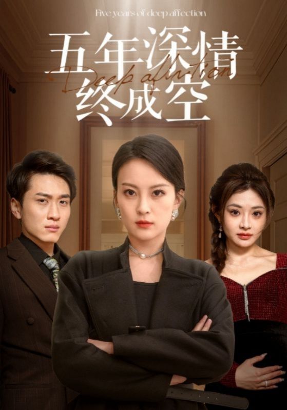 五年深情终成空$许云铮$顾晚意  第1张