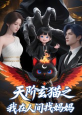 天阶玄猫之我在人间找妈妈$Q版  第1张