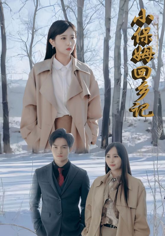 小保姆回乡记$王海$卢婉冰  第1张