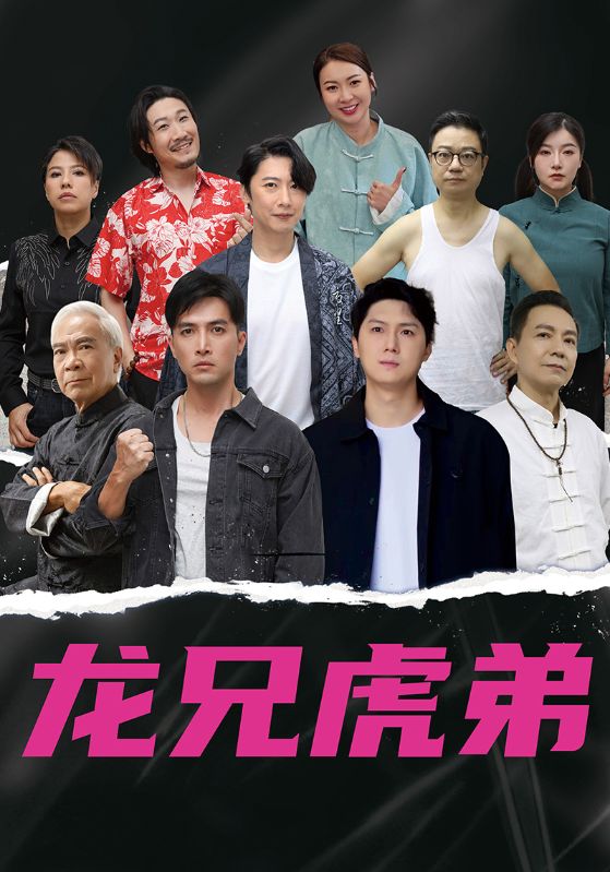 龙兄虎弟$中文版  第1张