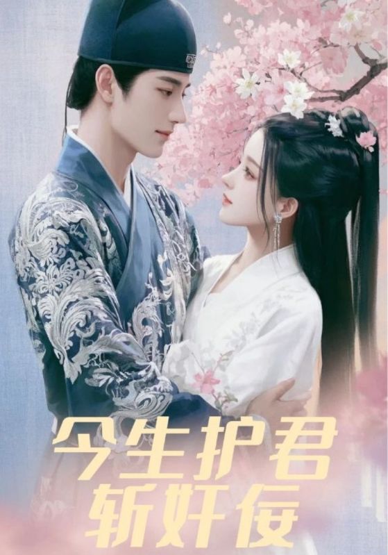 今生护君斩奸佞$裴叶寒$苏听雪  第1张