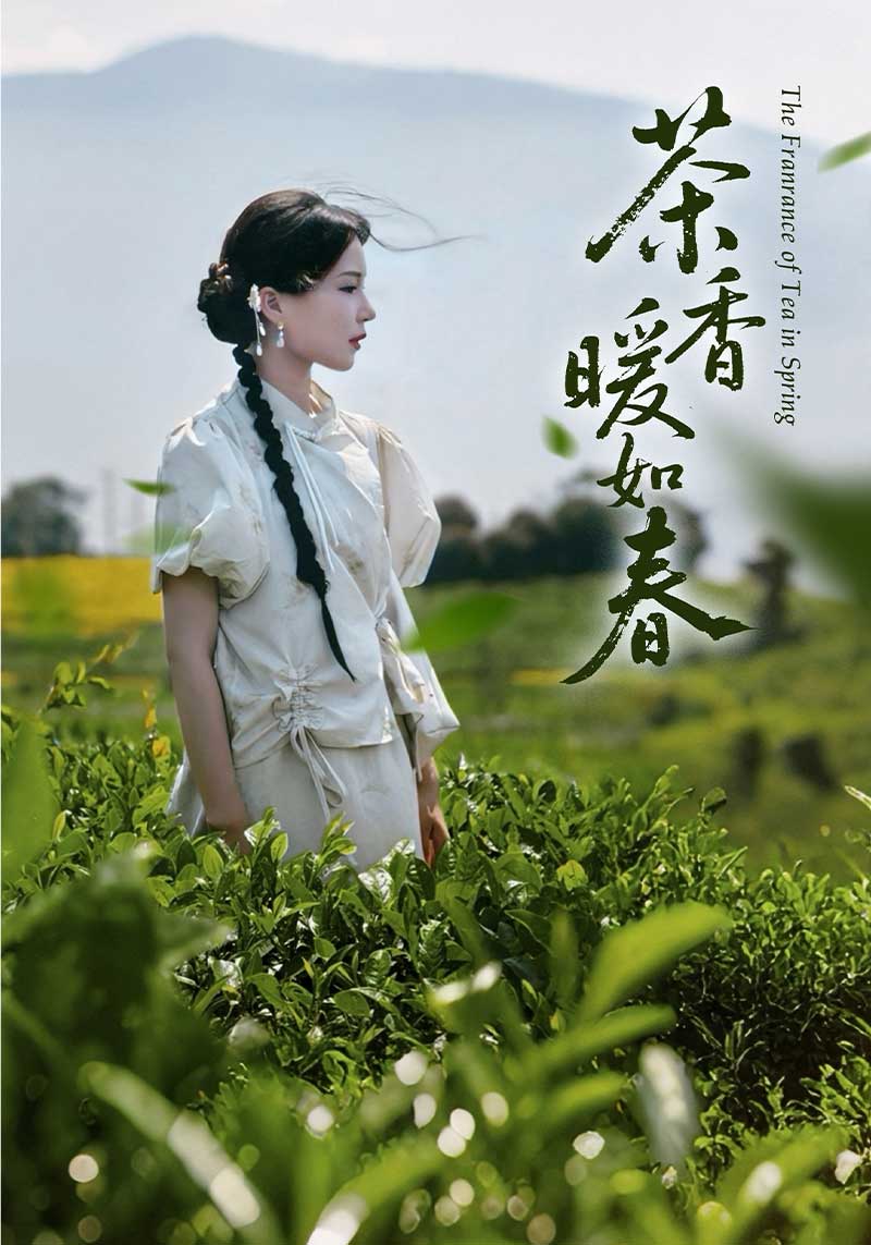 短剧《茶香暖如春$陆廷修$宋芷兰》