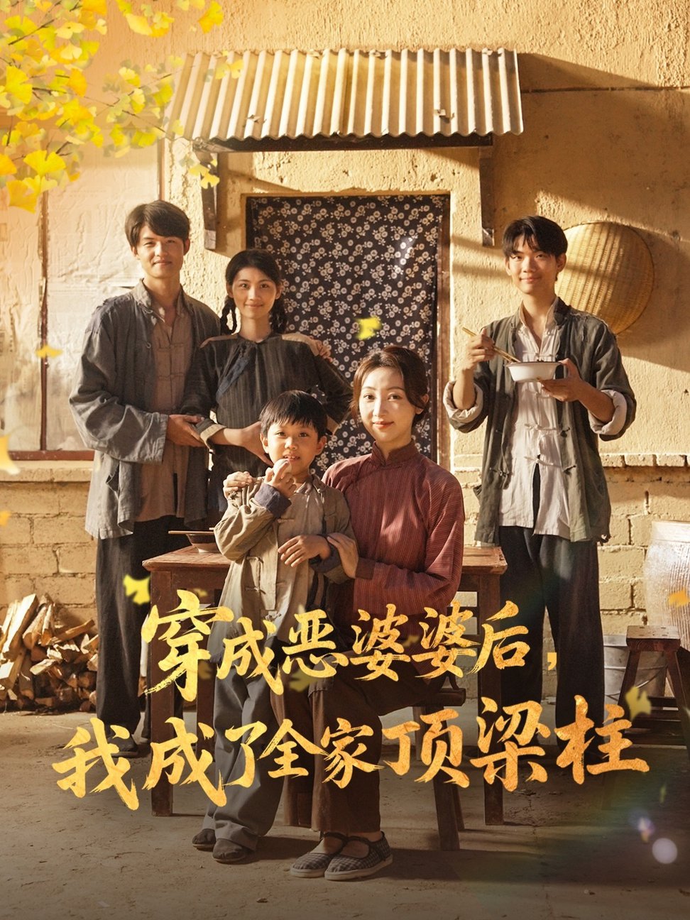 短剧《穿成恶婆婆后我成了全家顶梁柱$海依凡》