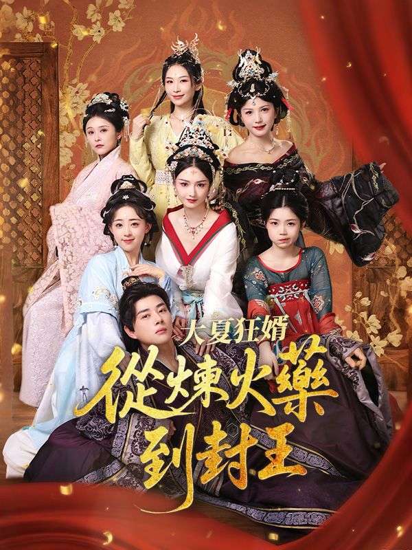 短剧《大夏狂婿：從煉火藥到封王$趙言$龍婉清》