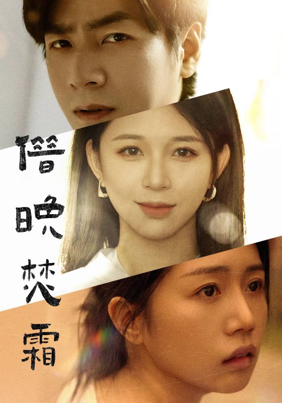 短剧《借晚焚霜$陆司寒$洛心辰》