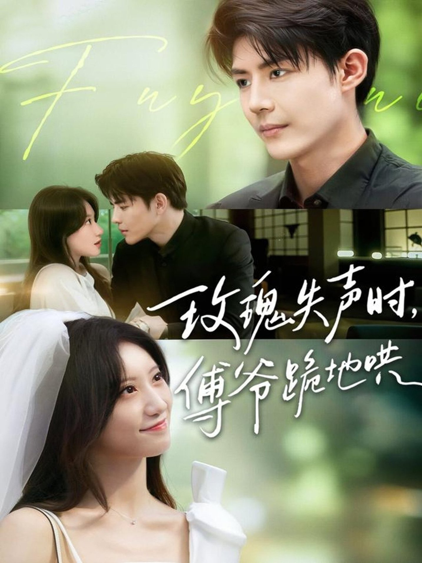 短剧《玫瑰失声时傅爷跪地哄$詹妮＆于济玮》