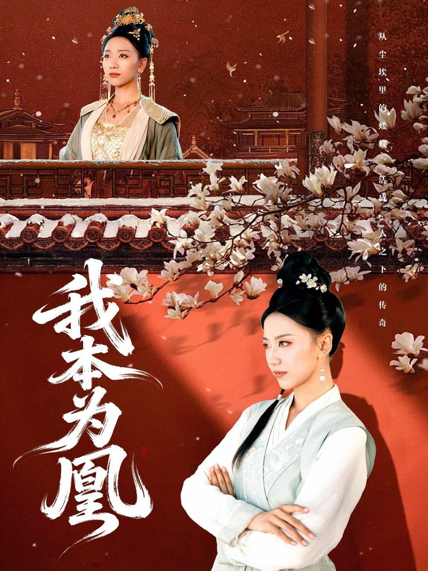 短剧《我本为凰$傅宇航/刘继徽》