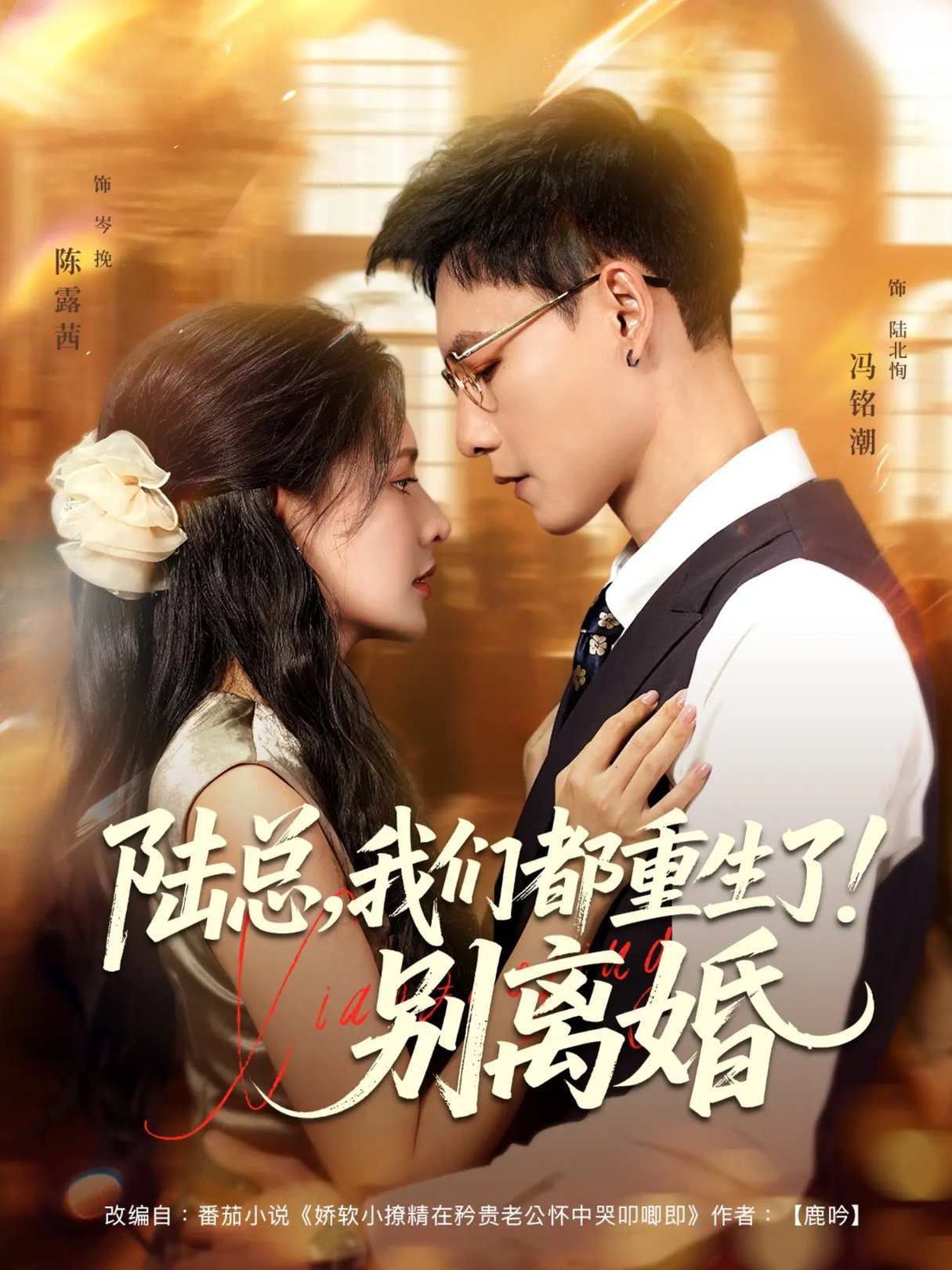 陆总我们都重生了！别离婚/陆总我们都重生了别离婚$冯铭潮/陈露茜  第1张