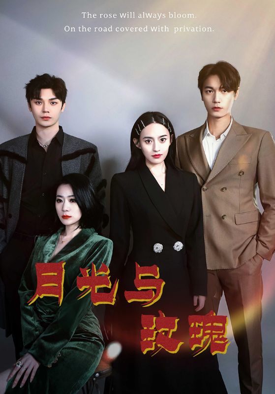 短剧《月光与玫瑰$沈墨迟$谢知意》