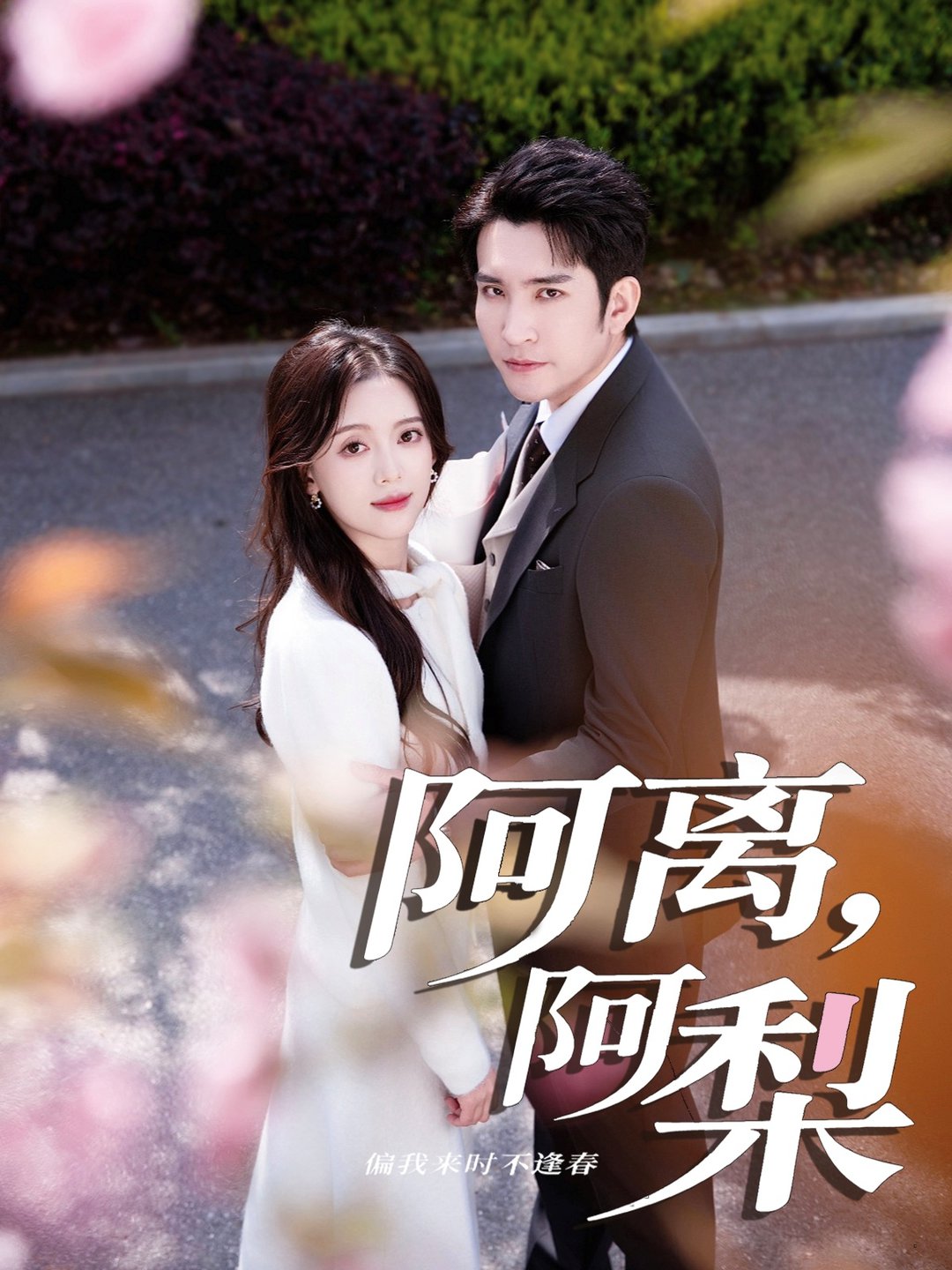 短剧《阿离阿梨$王已歌＆唐敬》