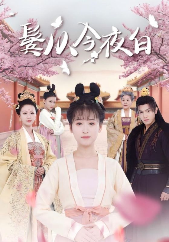 短剧《鬓从今夜白$赵煦$窈窈》
