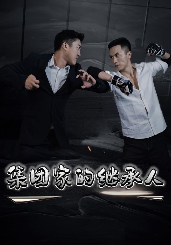 短剧《集全团家的继承人$李志欢$风萧萧》