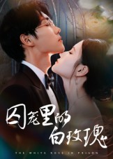 短剧《囚笼里的白玫瑰$李明轩》