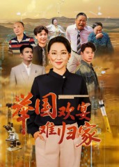 举国欢宴难归家  第1张